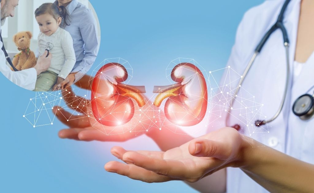 Pediatric Nephrology Understanding Kidney Health in Children